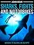 Sharks, Fights and Motorbikes: When it Rains in Egypt
