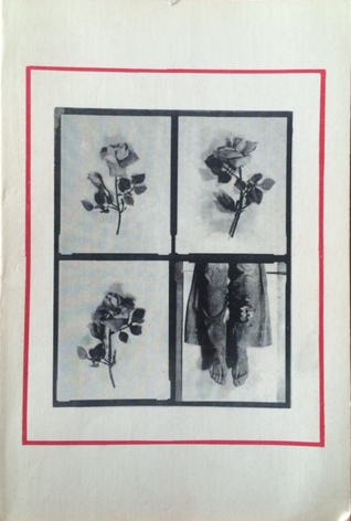 Terrorism: Poems (Lost roads ; no. 13)