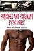 Punished and Pregnant by th...
