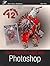 From Photos to Art with Photoshop: An Illustrated Guidebook (Quick Start Guidebooks 1)