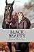 Black Beauty by Anna Sewell
