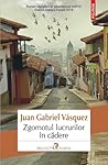 Zgomotul lucrurilor în cădere by Juan Gabriel Vásquez