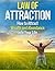 The Law of Attraction for Wealth: A 30-Minute Step-by-Step Guide for Beginners to Attracting Money and Wealth