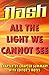 All the Light We Cannot See: Flash Summaries: Chapter by Chapter Summary with Editor's Notes - in a Flash