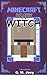 Minecraft: Diary of a Witch...