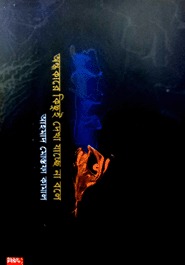 অন্ধকারে কিছুই দেখা যাচ্ছে না বলে