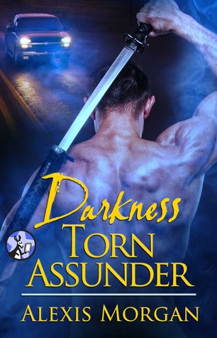 Darkness Torn Asunder (Paladins of Darkness, #9.5)