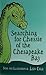 Searching for Chessie of the Chesapeake Bay
