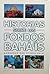 Historias sobre los Fondos Bahá'ís by Gloria Faizi