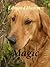 Magic (Dog Mysteries #1)