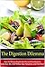 The Digestion Dilemma by Alexander Morello