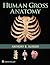 Human Gross Anatomy