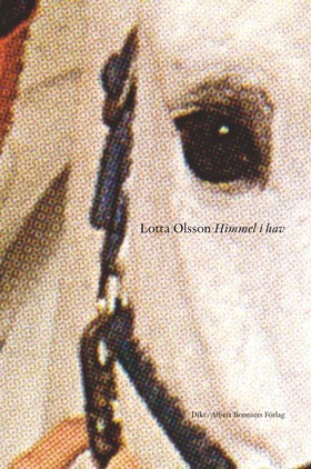 Himmel i hav (Hardcover)