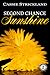 Second Chance Sunshine (Armstrong Securities, #2)