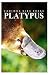 Platypus - Curious Kids Pre...