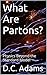 What Are Partons?: Physics Beyond the Standard Model (D.C. Adams Lecture Series Collection Book 11)