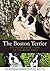 The Boston Terrier: A vet's guide on how to care for your Boston Terrier