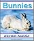 Bunnies: A Collection of Cute Bunny Photos (Adorable Animals)