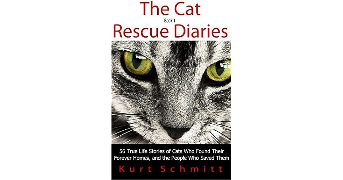 the cat rescue