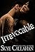 Irrevocable (Irrevocable, #1)