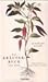 Das Kräuterbuch von 1543. Kolorierte Gesamtausgabe
