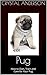 Pug: How to Own, Train and Care for Your Pug