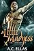A Little Madness (The Dark Servant, #29)