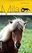 Milla og midnattsmysteriet by Berit Bertling