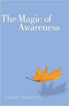 The Magic of Awareness