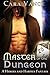 Master of the Dungeon by Cara Vance