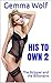 His To Own 2: The Stripper and the Billionaire