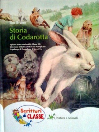 Storia di Codarotta (Hardcover)