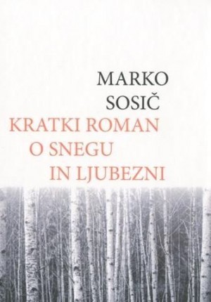 Kratki roman o snegu in ljubezni