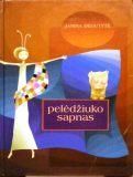 Pelėdžiuko sapnas