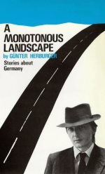 A Monotonous Landscape (Paperback)