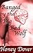 Banged by the Big Bad Wolf (Paranormal Shifter Erotica)