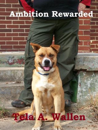 Ambition Rewarded (Kindle Edition)