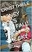 MONEY DOES NOT FALL FROM THE SKY: BUT WHERE DOES IT COME FROM? BASIC ECONOMICS NOT ONLY FOR CHILDREN