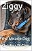 Ziggy, the Miracle Dog