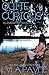 Quite Curious (Lowcountry Mysteries, #3.5)