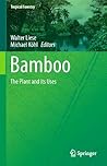 Bamboo - The Plan...