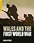 Wales and the First World War