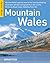 Mountain Wales