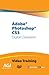 Adobe Photoshop CS3 Digital...