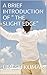 A BRIEF INTRODUCTION OF " THE SLIGHT EDGE" by Umesh Kumar