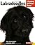 Labradoodles: Everything About Purchase, Care, Nutrition, Behavior, and Training (Complete Pet Owner's Manual)