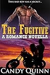 The Fugitive: A R...