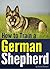 How to Train a German Shepherd: An Essential German Shepherd Training Guide