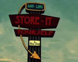 The Dah-Ling Store-It-Yourself (The Dah-Ling Series, #1)