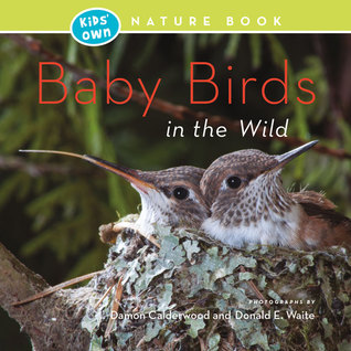 Baby Birds in the Wild (Kids' Own Nature Book)